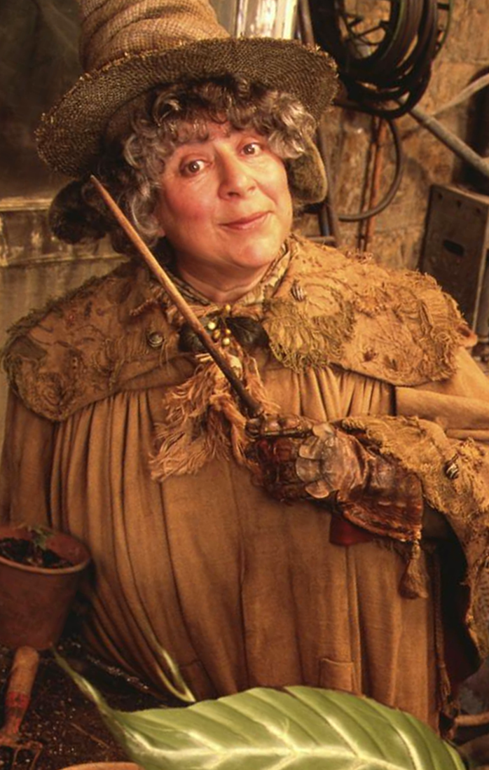 professor sprout harry potter professor sprout harry potter