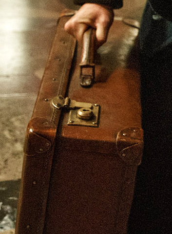 File:Scamander's suitcase.png