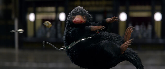 File:Niffler 2.jpg