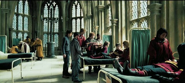File:Harry-potter4-movie-screencaps.com-6740.jpg