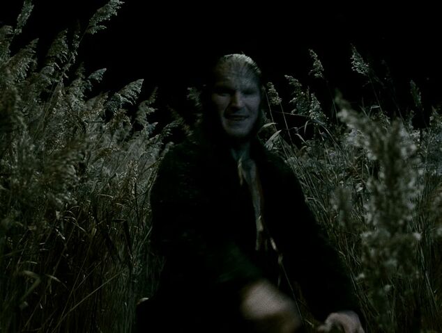 File:Fenrir.jpg