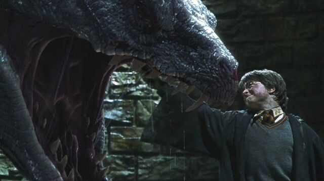 File:Harry kills Basilisk.jpg