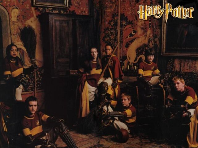 File:Gryffindor Qteam.jpg