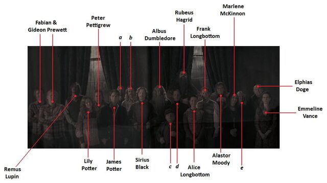 File:OP Labeled.jpg