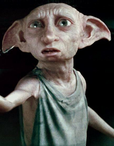 File:DobbyDH.png