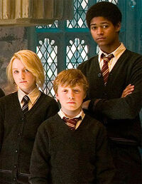 Image-70-evanna lynch6.jpg