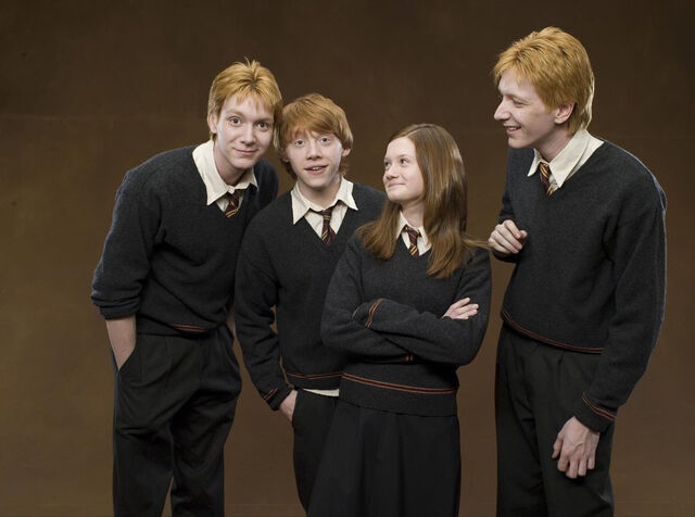 File:Weasleyfamily1.jpg