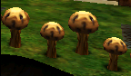 Grzyb.png
