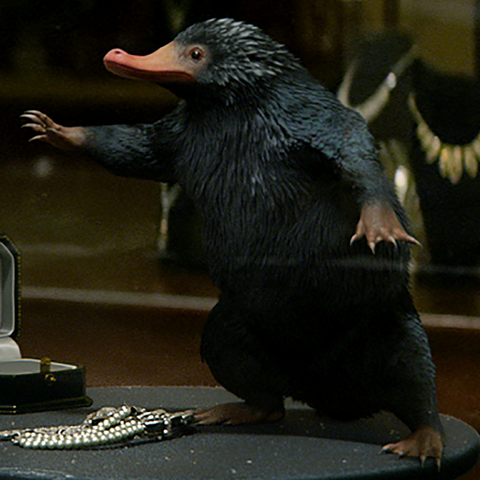 File:Sneaky Niffler FB.png