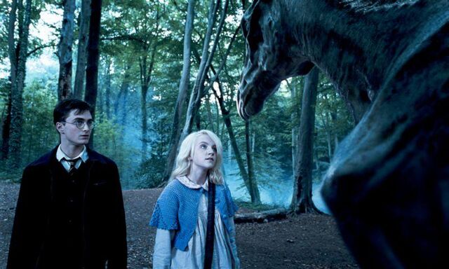 File:HarryLunaThestral.jpg