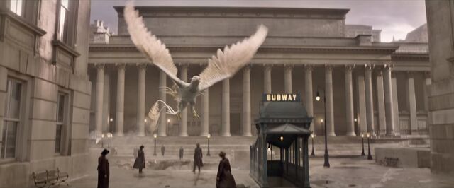 File:Fantastic Beasts Creatures 03.jpg