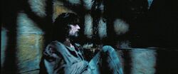 Harry Potter Prisoner Azkaban Sirius