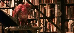 Harry-potter2-movie-fawkes