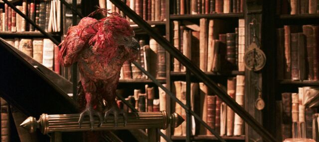 File:Harry-potter2-movie-fawkes.jpg