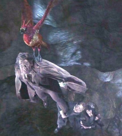 File:Leaving the chamber.jpg