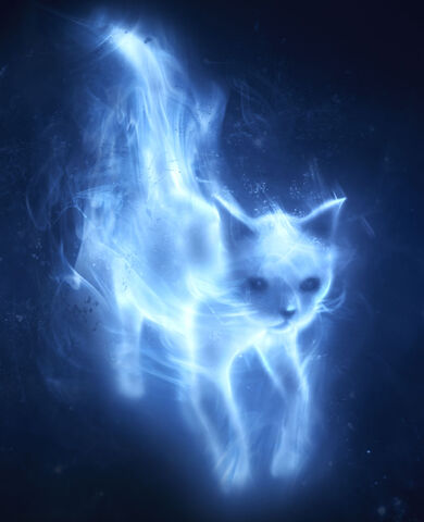 File:Patronus Cat2.jpg
