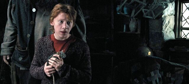 File:Harry-potter4-movie-screencaps.com-10104.jpg