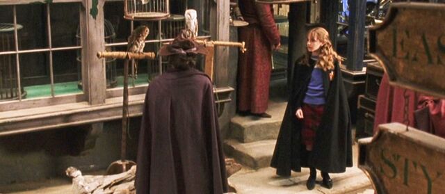 File:Harry-potter2-diagon ally.jpg