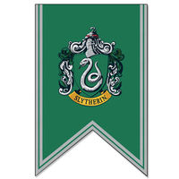 Slytherin Banner (WBshop).jpg