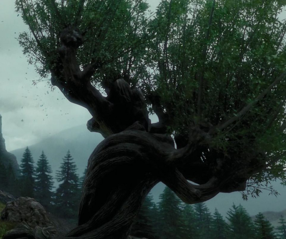 File:Willow.png
