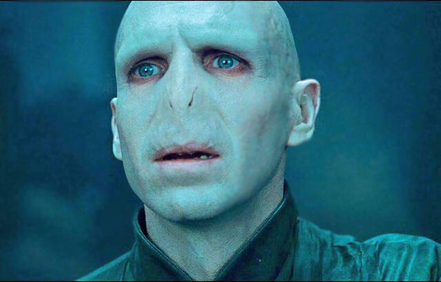 File:Dhvoldy.jpg