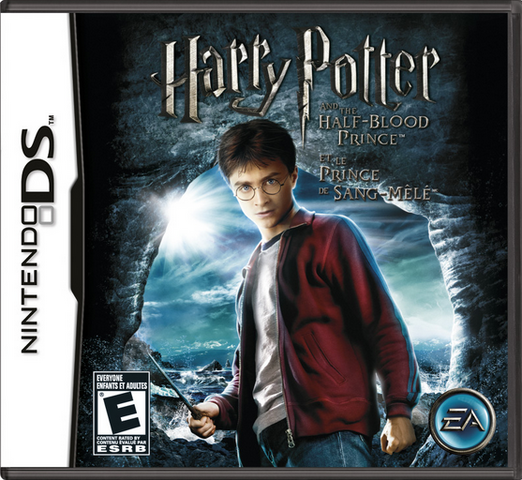 File:HBP Nintendo DS.png