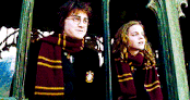 File (2)2.gif