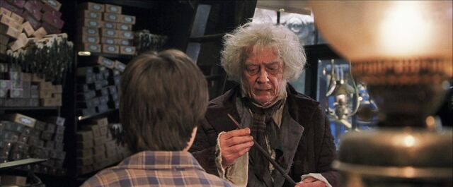 File:Harry-potter1-ollivander harry.jpg