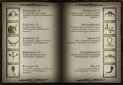 Antiche-Rune-Libro.png
