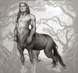 Trick centaur.jpg