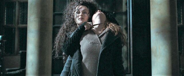 File:Harry-potter-deathly-hallows1-bellatrix hermione.jpg