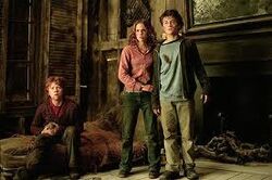 Harry potter77.jpeg