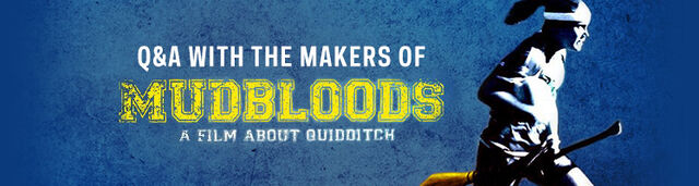 File:Project Blog Header 748x200.jpg