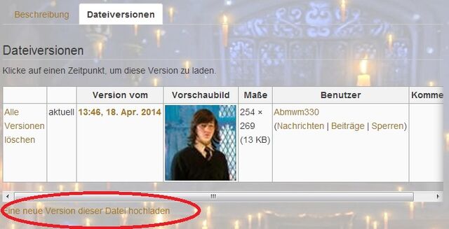 Datei:Eine neue Dateiversion hochladen.jpg