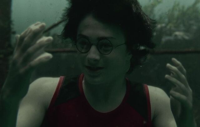 File:Harry Gillyweed.jpg