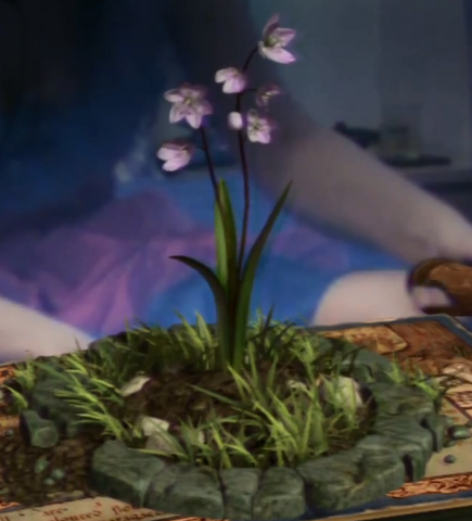 File:Squill.png