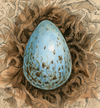 Phoenix Egg