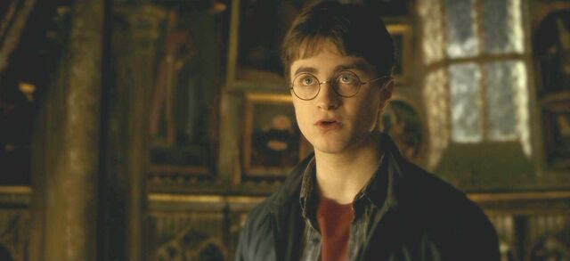 File:Halfblood-03418.jpg