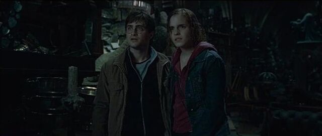 File:Harry potter and Hermione Room of Requirements.jpg