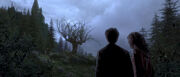 Hermione e Harry vendo Remo Lupin.jpg