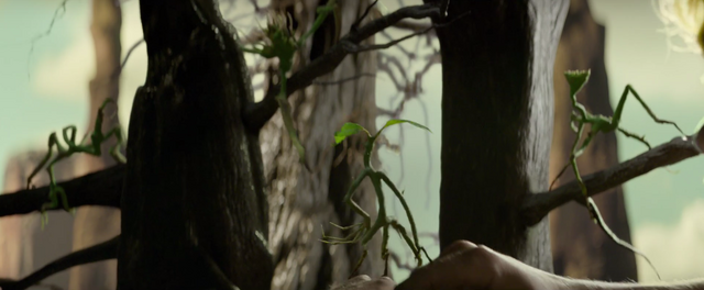 File:Bowtruckles.png