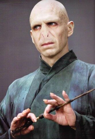 Soubor:Lord-Voldemort-lord-voldemort-29805023-483-700.jpg