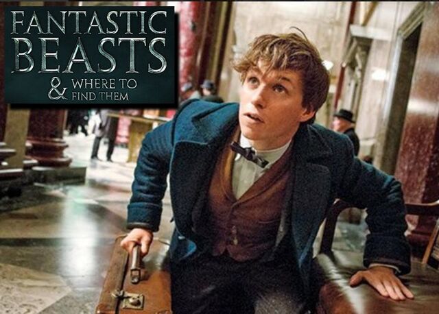File:Fantastic Beasts(1).jpg