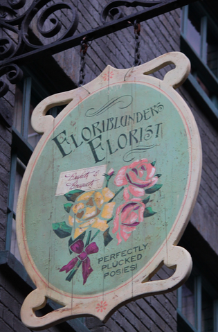 File:FloriblundersFlorist.png
