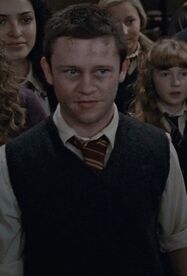 Seamus.jpg