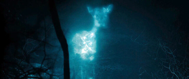 File:DH1 Severus Snape's Patronus.jpg