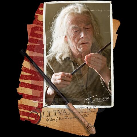 File:Harry-Potter-BlogHogwarts-HP7-2-35.jpg