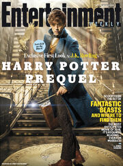 Newt Scamander.jpg