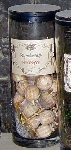 File:Potion No. &83Y1.jpg