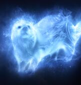 1patronus